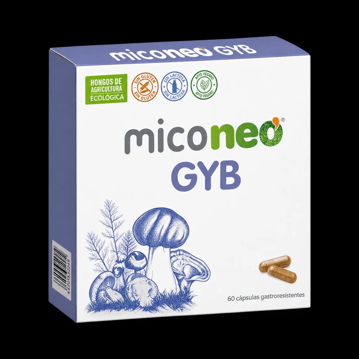 MICO NEO GYB